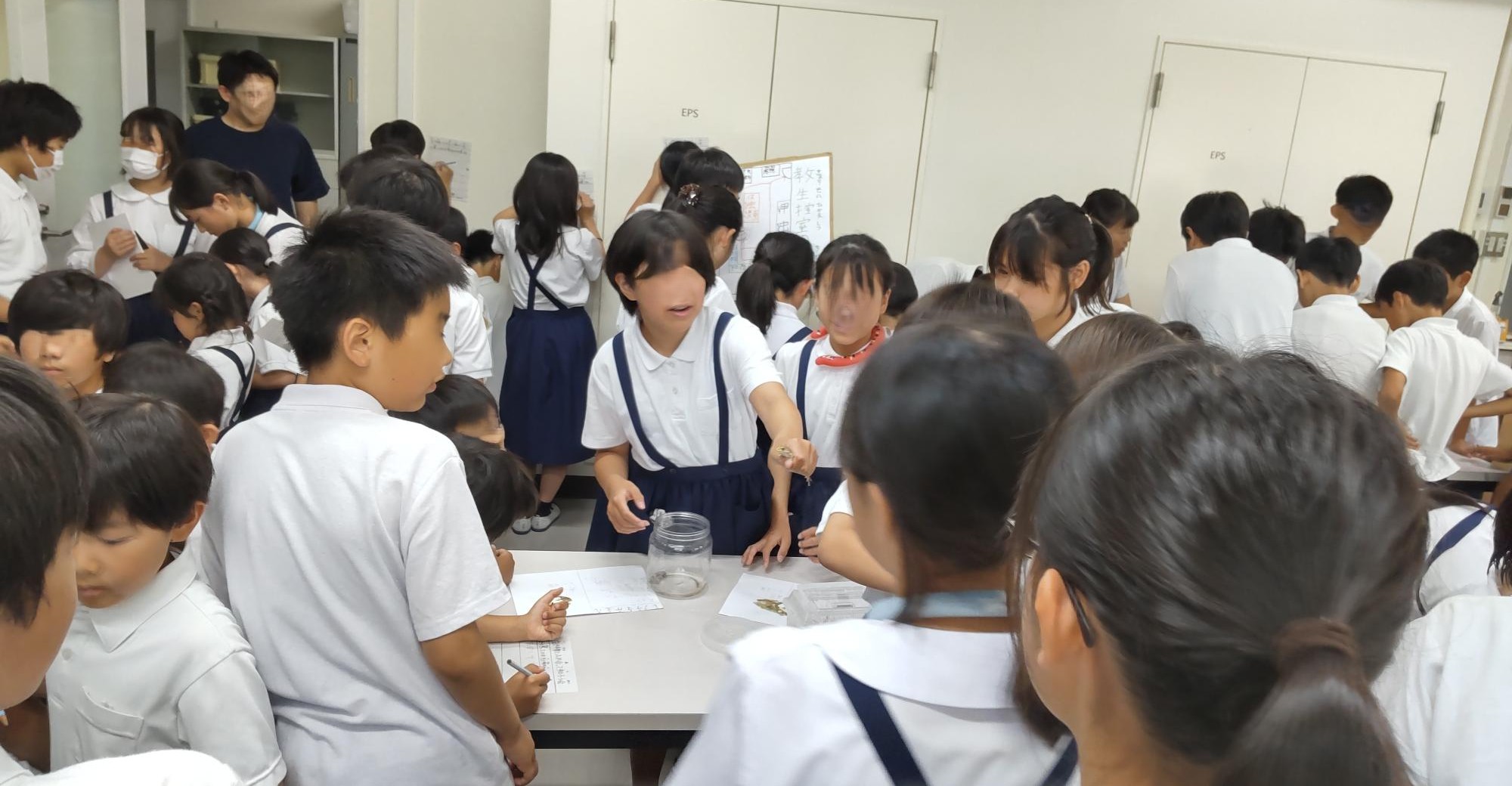 カエルをどうぞ.JPG