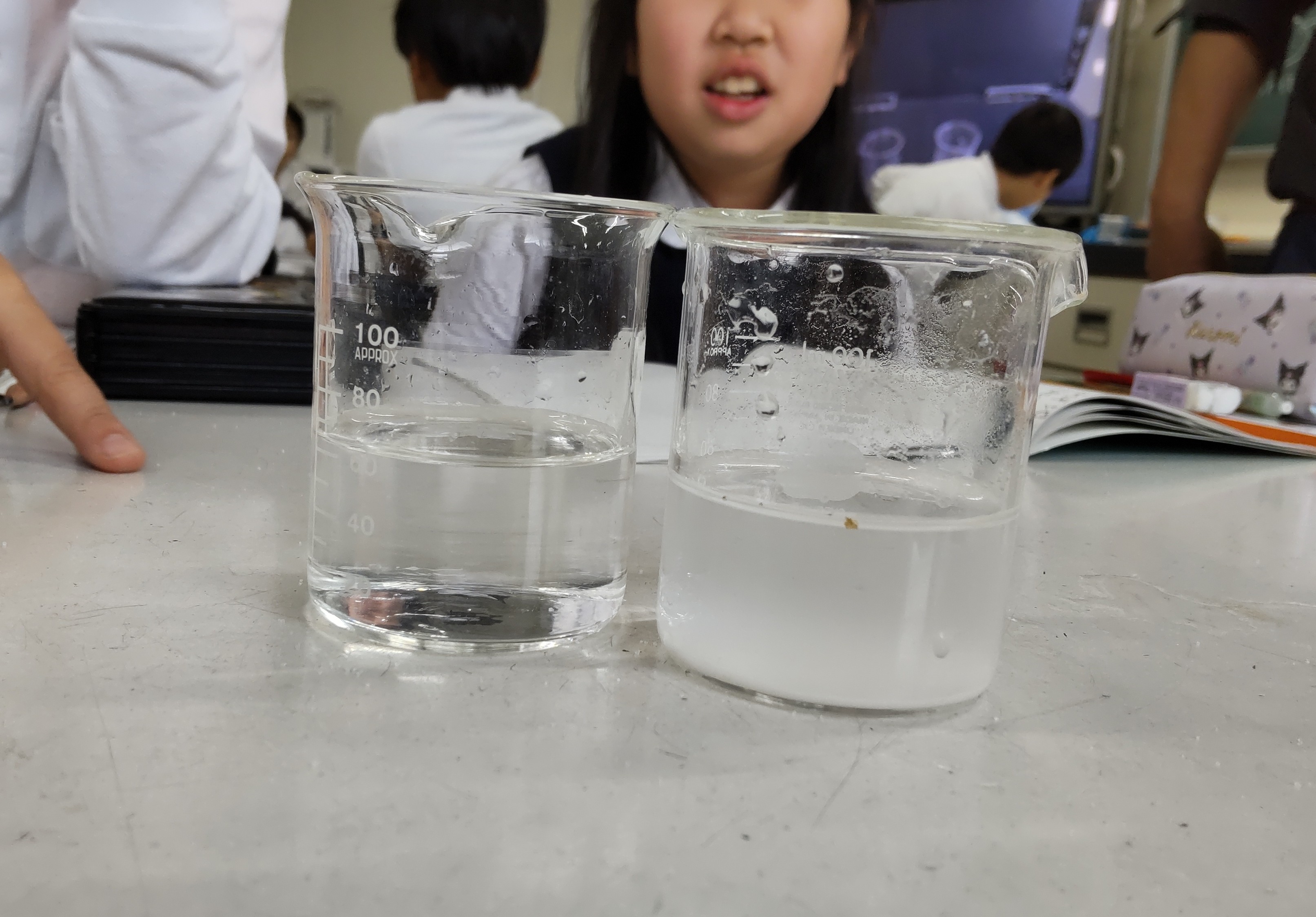 対比.JPG