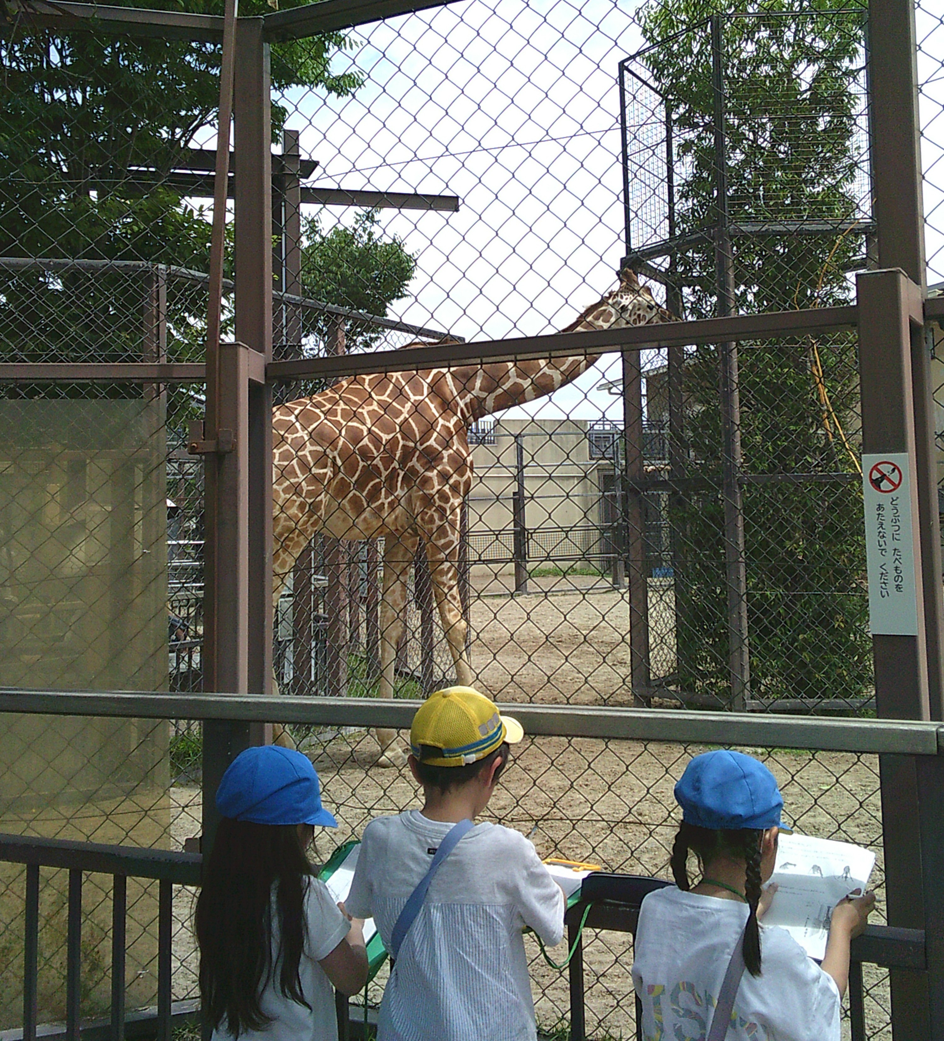 DSCF0094.JPG