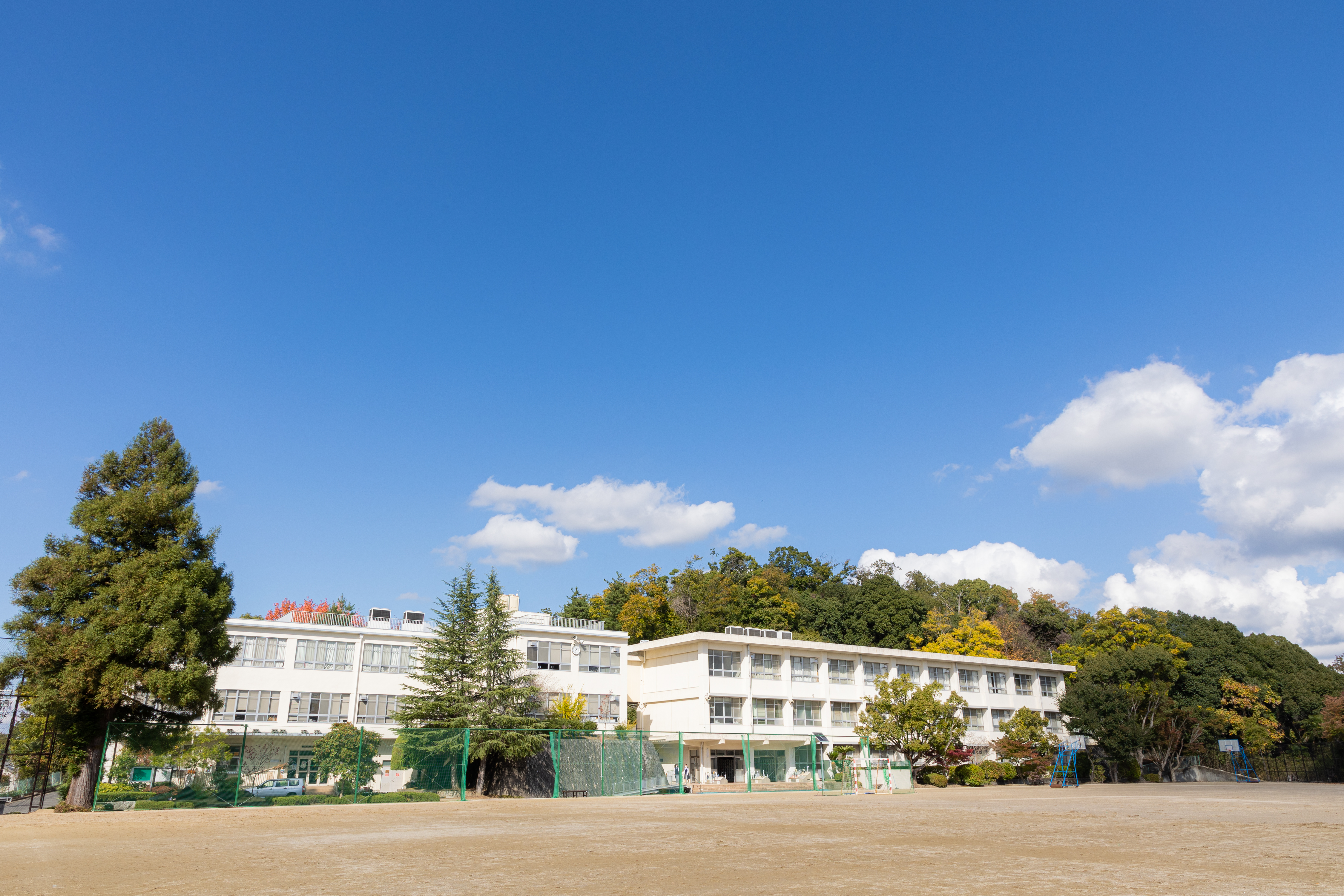 中古】 教育の創造と追究 4/国土社/奈良教育大学教育学部附属