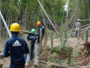 部活動：裏山クラブ 