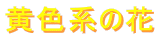 Fn̉

