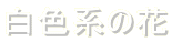 Fn̉

