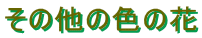 ̑̐F̉

