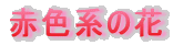 ԐFn̉
