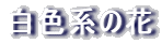 Fn̉

