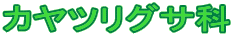 JcOT