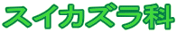 XCJY