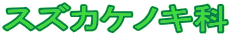 XYJPmL