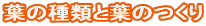 t̎ނƗt̂