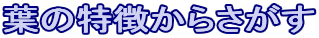 t̓炳


