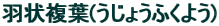 H󕡗t(傤ӂ悤)