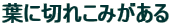 tɐ؂ꂱ݂