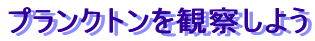 vNgώ@悤
