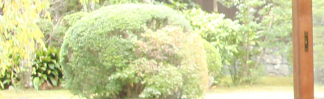 東大寺庭園