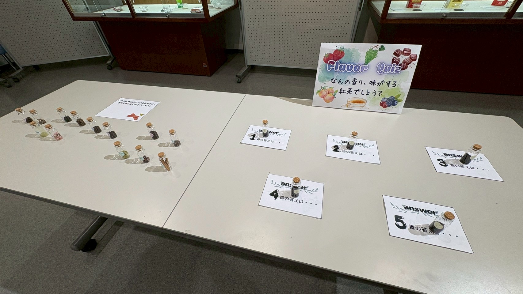 museum_training_2025_chabunka_3