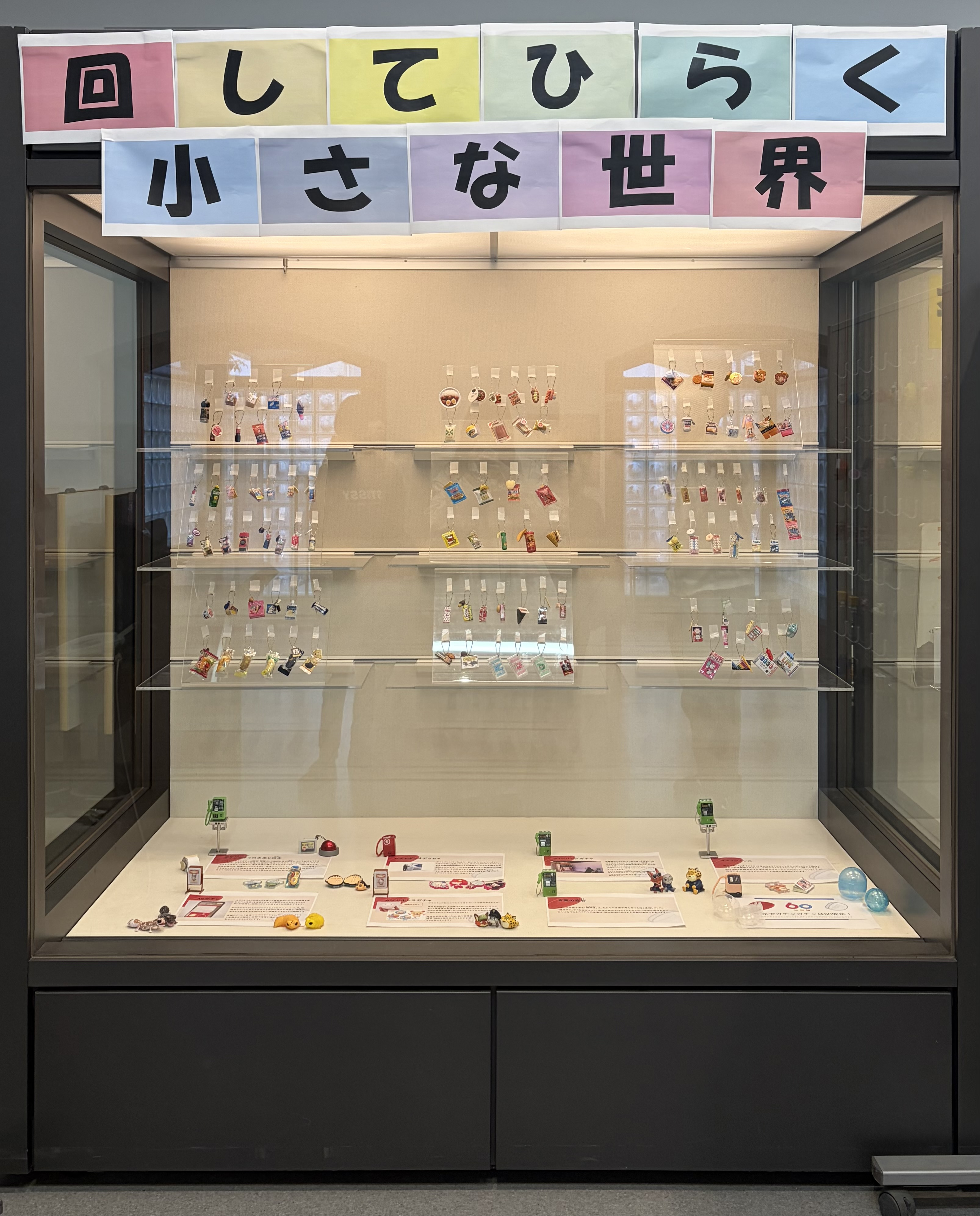 museum_training_2025_gacha_1