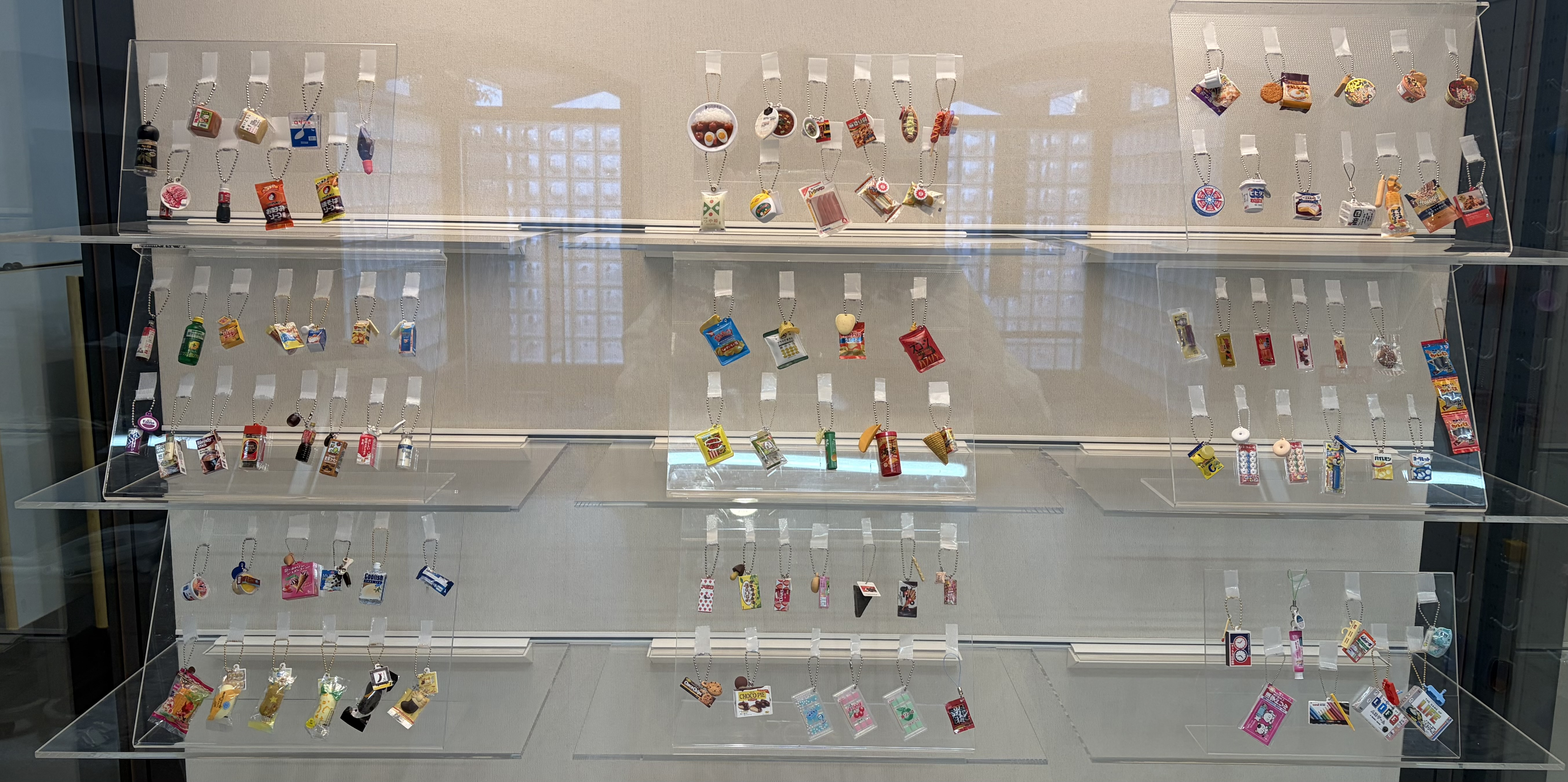 museum_training_2025_gacha_3