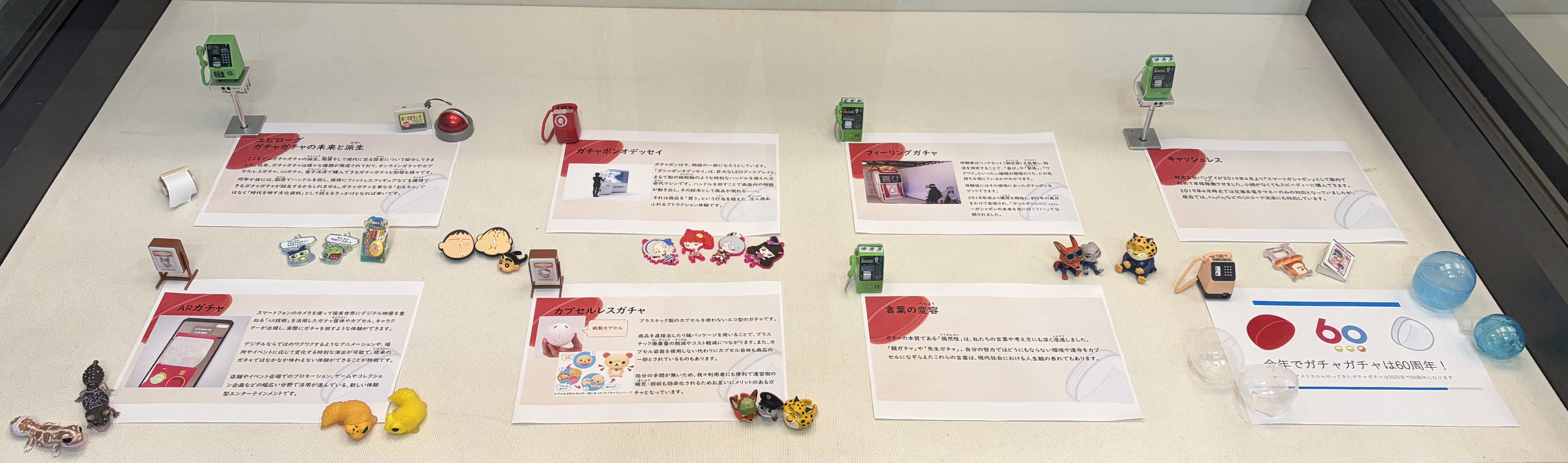 museum_training_2025_gacha_4