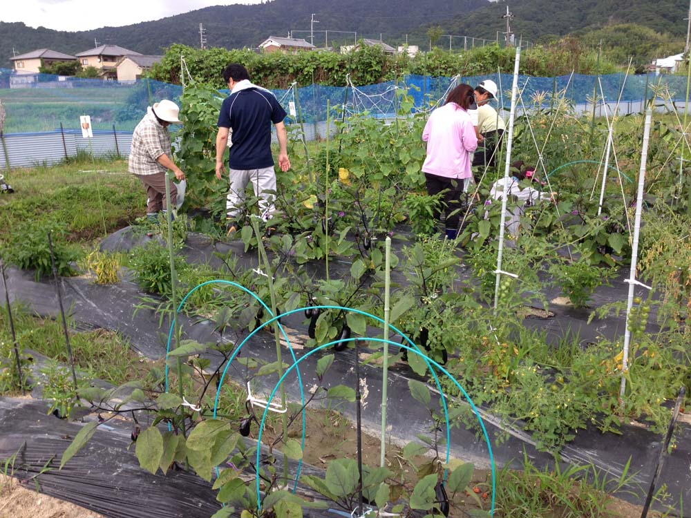 畑作業で汗を流す受講生ら